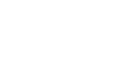Worker Solidarity and Defense Foundation Logo